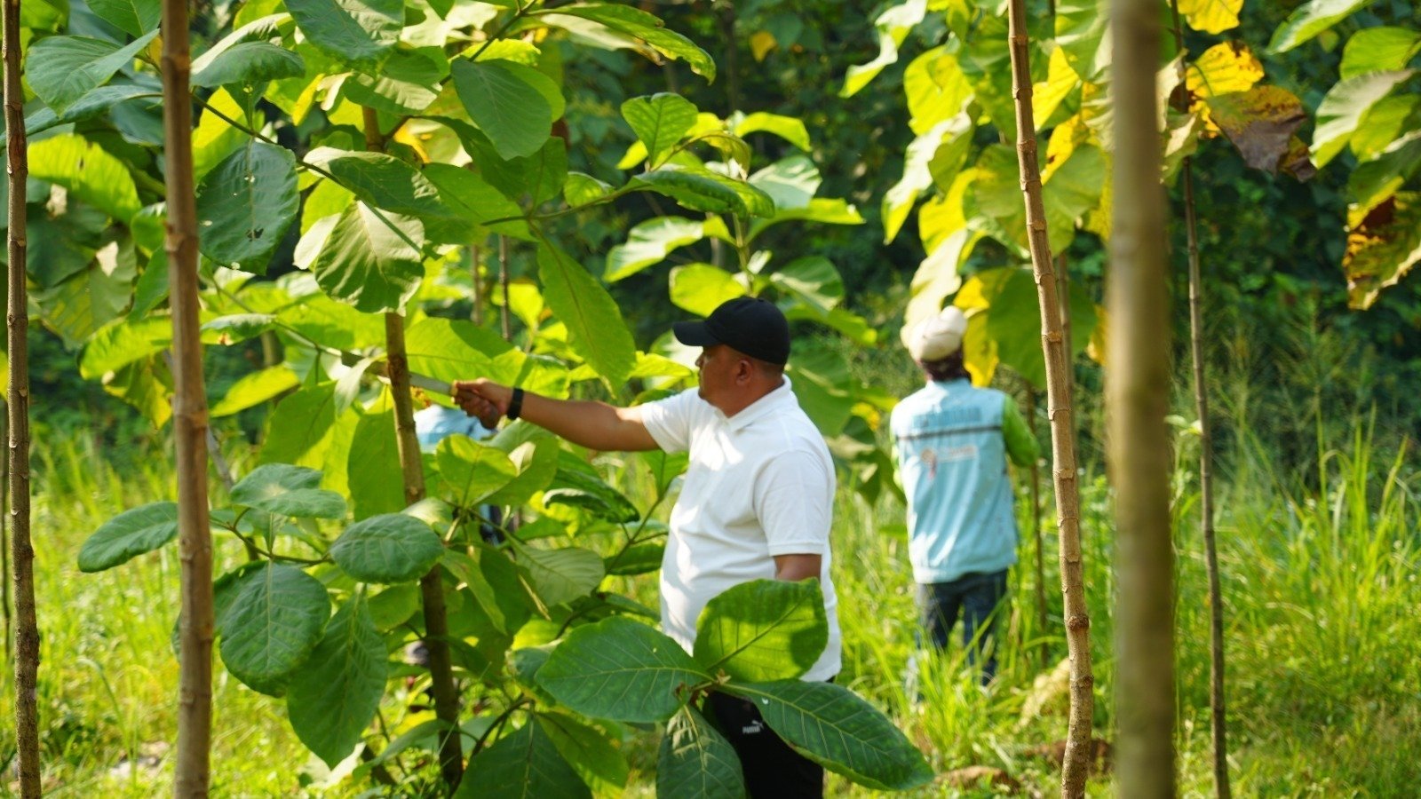 Rudy Susmanto Buktikan Komitmen Lingkungan, Pembangunan Hutan Kota Capai 177,26 Hektare