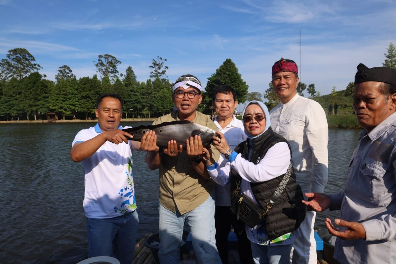 Heboh! Peneliti UI Temukan Ikan Alien Kuasai Telaga Saat Bogor