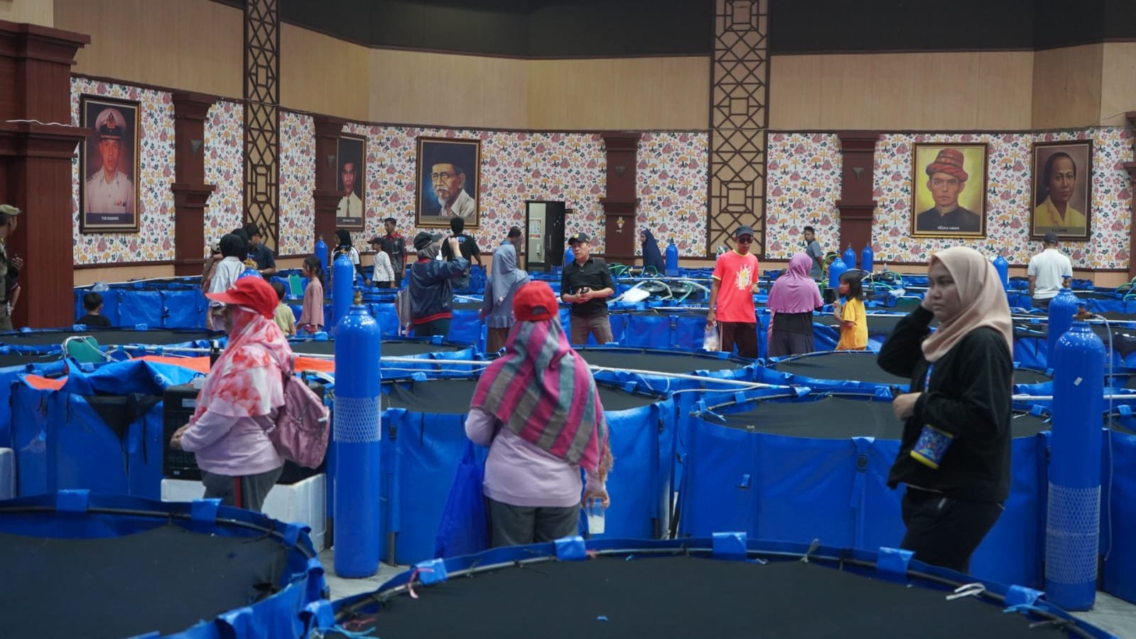 Bogor Koi Show 2026 Sedot 500 Peserta, Tegaskan Kabupaten Bogor sebagai Sentra Koi Nasional
