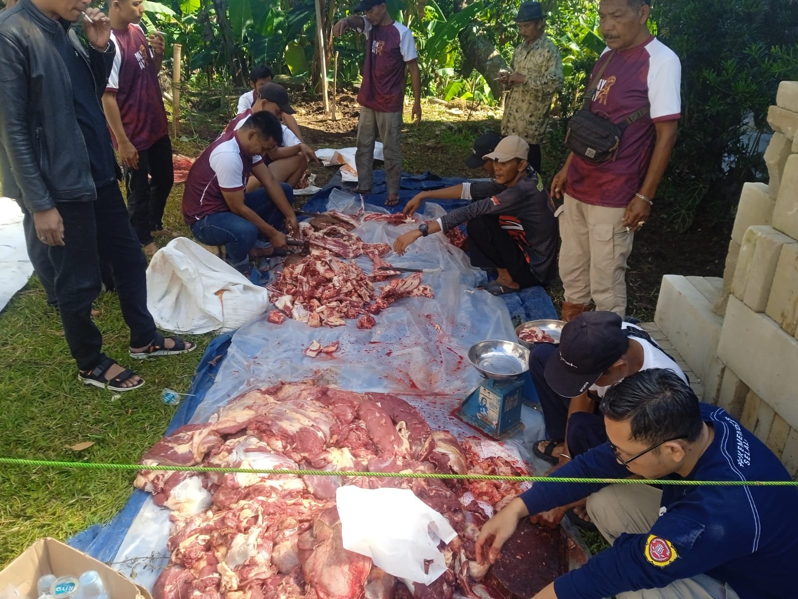 Idul Adha adha 2026, Gerindra Kabupaten Bogor Tebar 14 Sapi Kurban