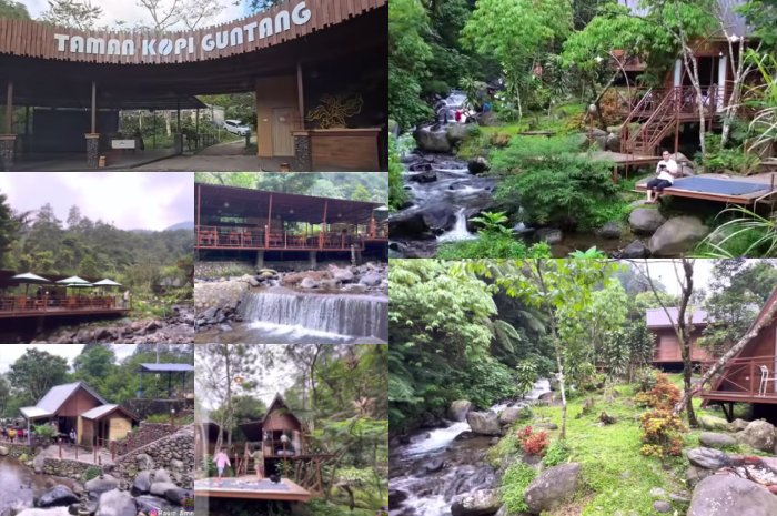 Lebih Sejuk dari Puncak Bogor, Villa dan Glamping Terbaru di Pinggir Sungai di Taman Kopi Guntang