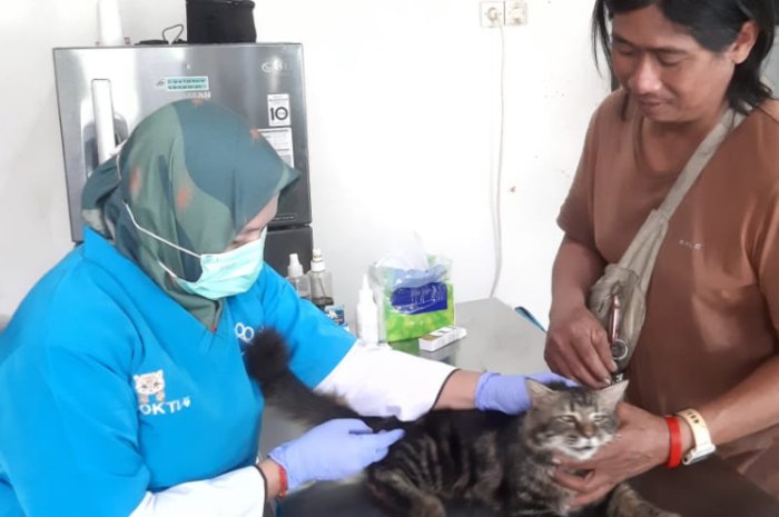 Layanan Vaksinasi Hewan Gratis Meriahkan Hari Jadi Bogor ke-452