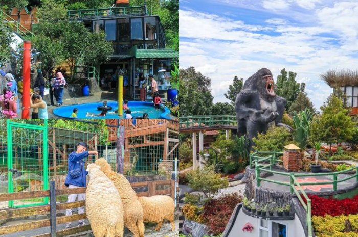 Tempat Wisata Bogor Dengan Petualangan Unik di Tengah Kebun Jati, Camping Seru di The Farm Pancawati: Naturbanget dan Budget Friendly