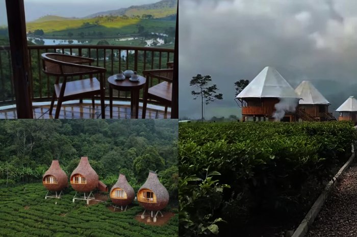 The Ciliwung Glamping Terbaru di Puncak Bogor, Pemandangan Kebun Teh dan Telaga Saat